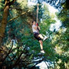 Le saut de Tarzan